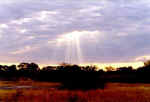 Sunset - Moremi, Botswana