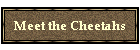 Meet the Cheetahs