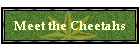 Meet the Cheetahs