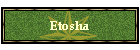 Etosha