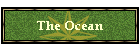 The Ocean