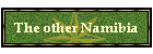 The other Namibia