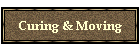 Curing & Moving