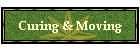 Curing & Moving