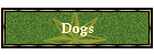 Dogs