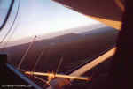 One of the antennae for radio tracking - Click to enlarge