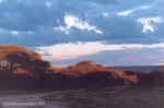Peaceful sunset evening at CCF, Namibia