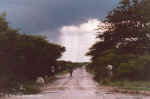If you don't like the weather in Namibia, wait 20 minutes - Etosha, Namibia
