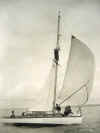 oldcrod23.JPG (69712 bytes)