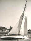 oldcrod6.JPG (72775 bytes)