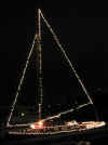 twinklecrod500.JPG (71178 bytes)