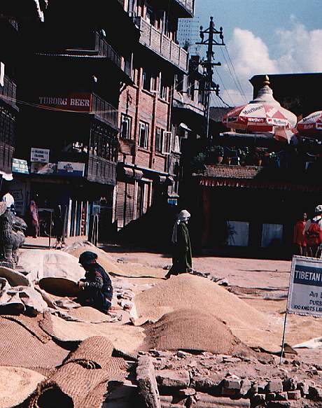 tibetan area in Patan
