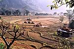 field