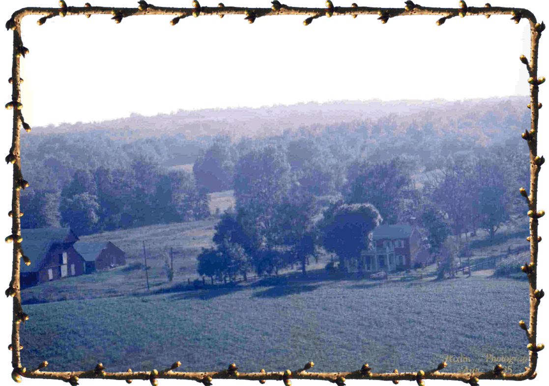 Click for more Cross Farm pictures...