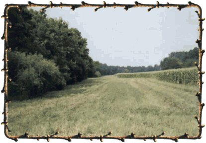 Click for more Cross Farm Conservation Program pictures...