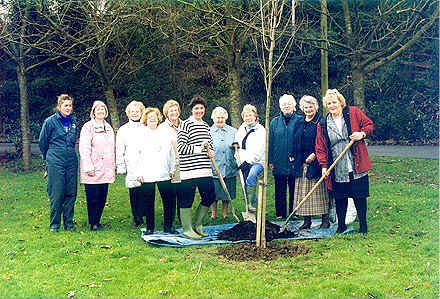 Tree planting at the Quoile Recreation Area, March 2000