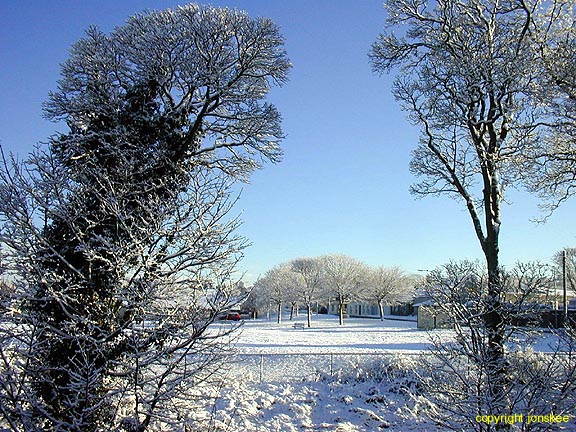 These trees have seen many seasons and frame a view of a normally busy area of the village.