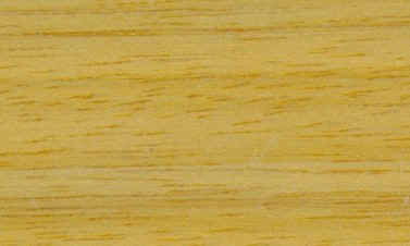 TauariPardo brazilian chestnut2.jpg (19815 bytes)