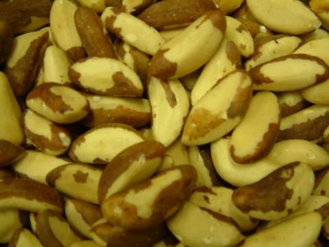 brazil_nuts.jpg (22240 bytes)