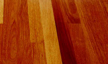 brazilian_teak2.jpg (24886 bytes)