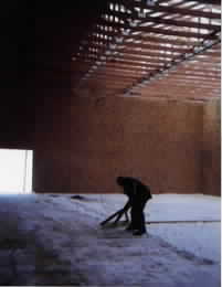 Even in the snow we build.