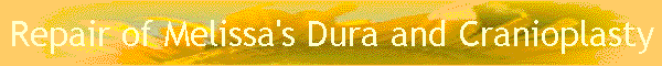 Repair of Melissa's Dura and Cranioplasty