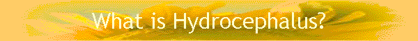 What is Hydrocephalus?