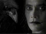 2crow.jpg