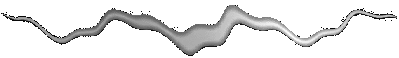 Vertical Seperator