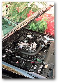 Lounge Lizard's V8