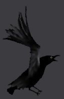 Crow