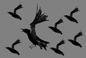 Flight Of Crows #2