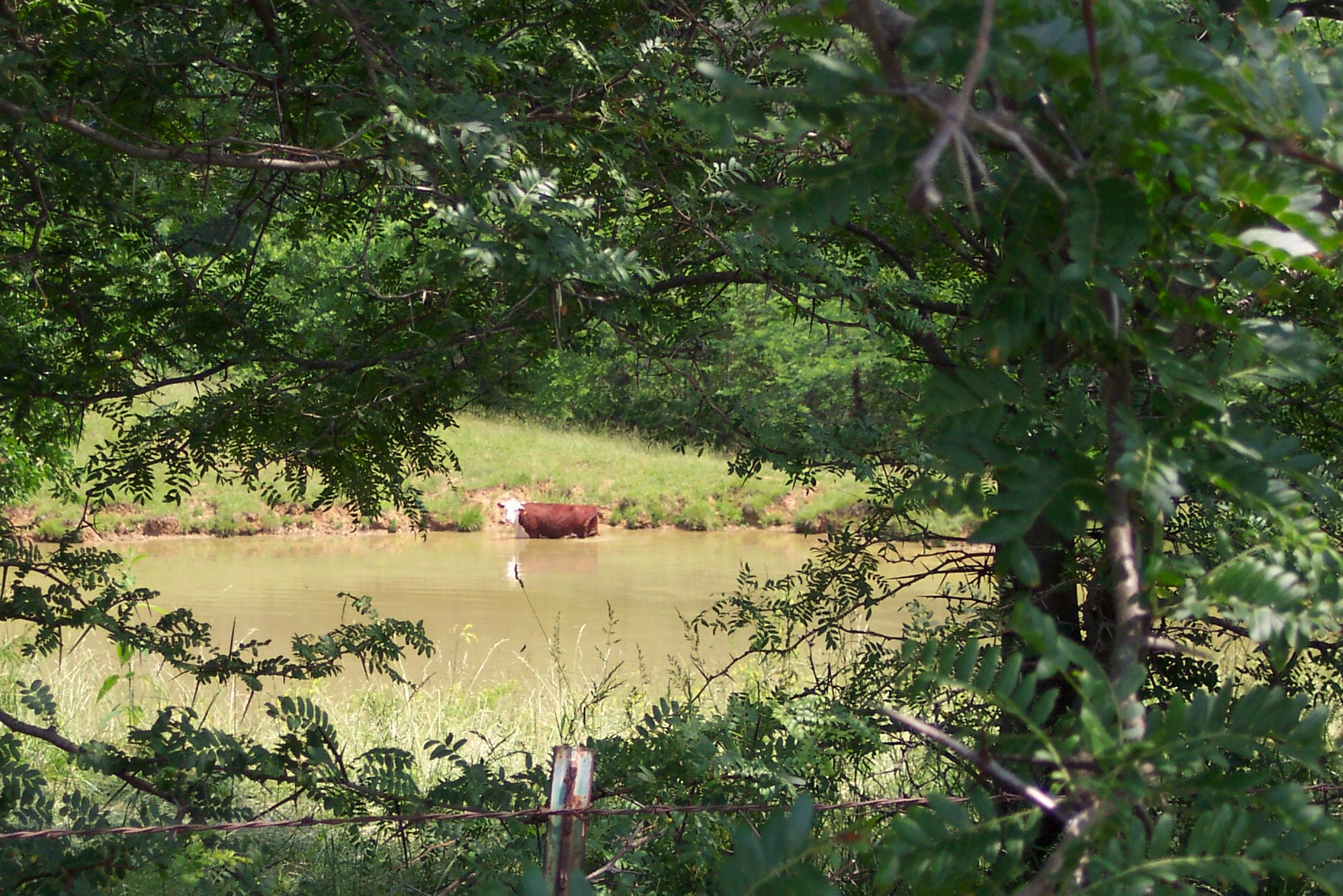 Crow's Creek Ranch
