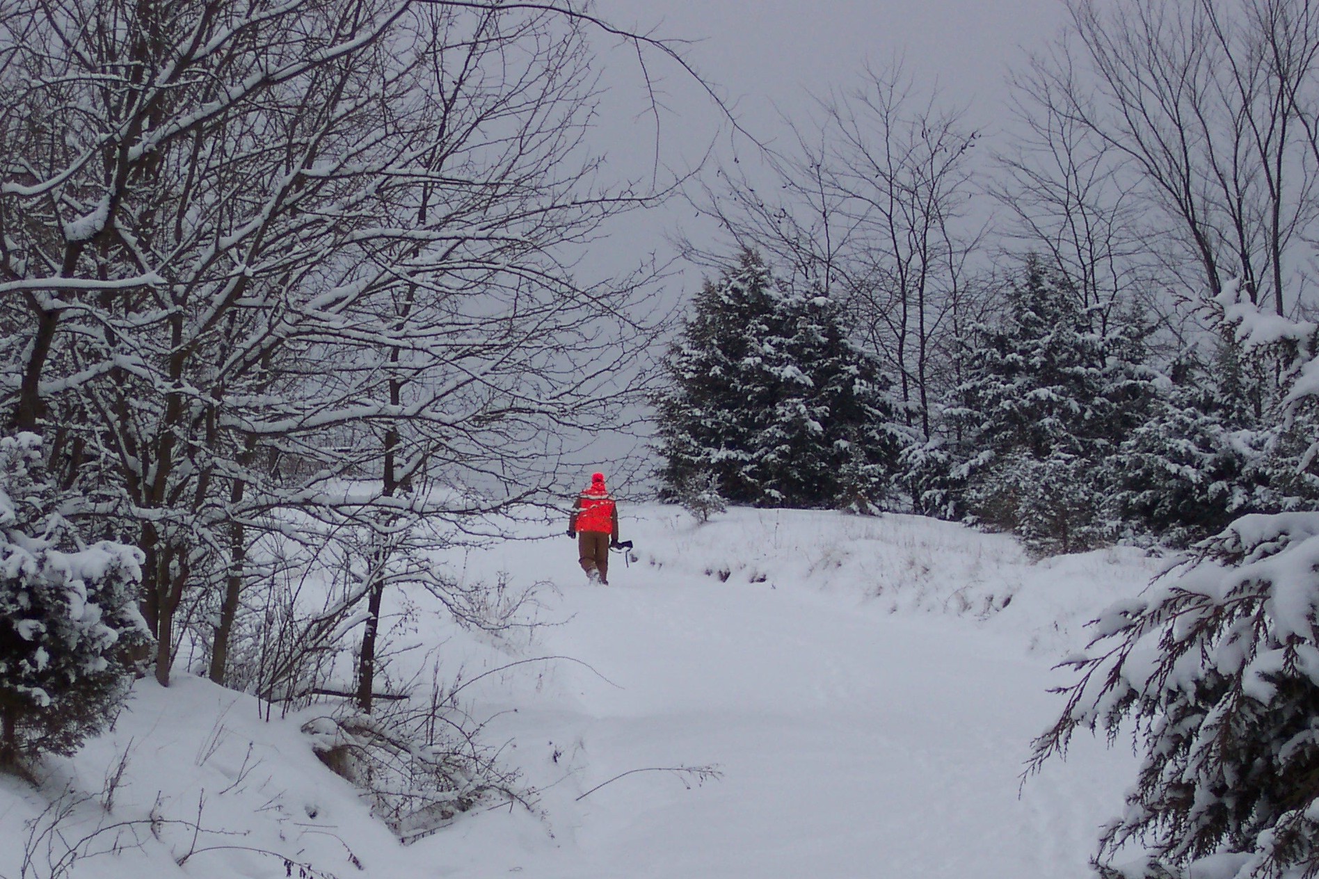 Crow's Creek Ranch