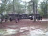 battle in front of healers guild small.jpg (478114 bytes)