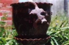 planter with possum