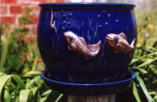 pot planter