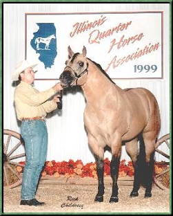 "Tessa" will be bred to Raleigh for a 2004 foal