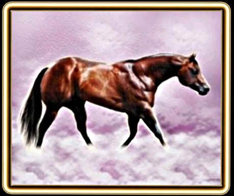 "Reba" Western Secret has been bred to SCS for a Jan. 2004 foal