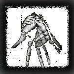 Dead Can Dance