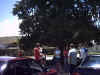 braidwood.jpg (81838 bytes)