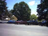 cars_in_braidwood.jpg (84527 bytes)