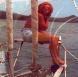 Sailing around the Barrier reef, Australia