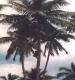 Missima Island Papua New Guinea