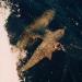 Dolphins playing on the bow wave