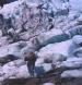 Franz Josef Glacier NZ