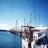 Gladstone Marina Australia