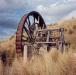 Old gold stamper, Otaga NZ