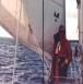 Sailing Auckland's Hauraki Gulf New  Zealand