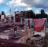 Nuku alofa Cemetary in Tonga